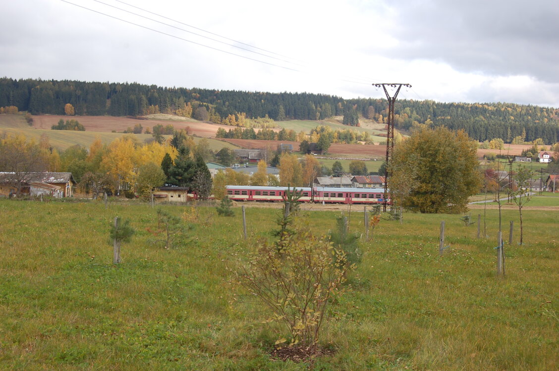 an1_009557.jpg