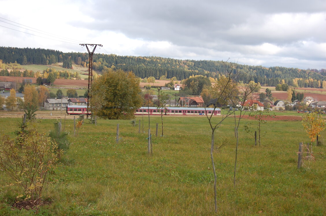 an1_009558.jpg