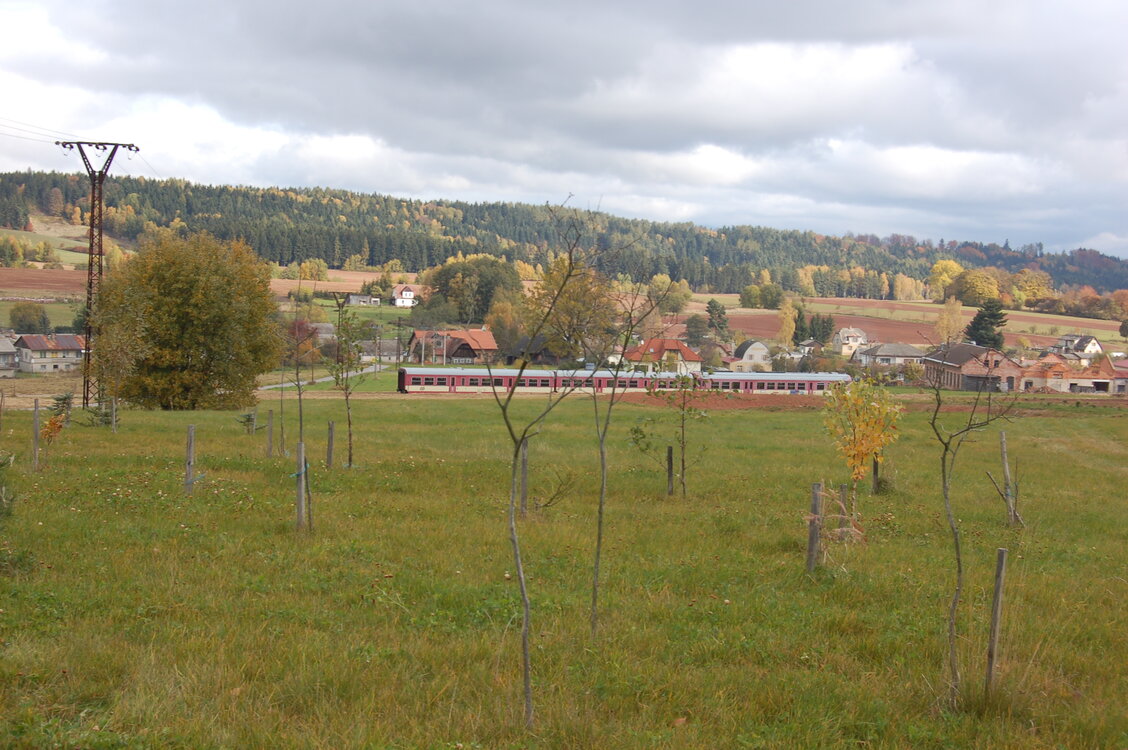 an1_009559.jpg