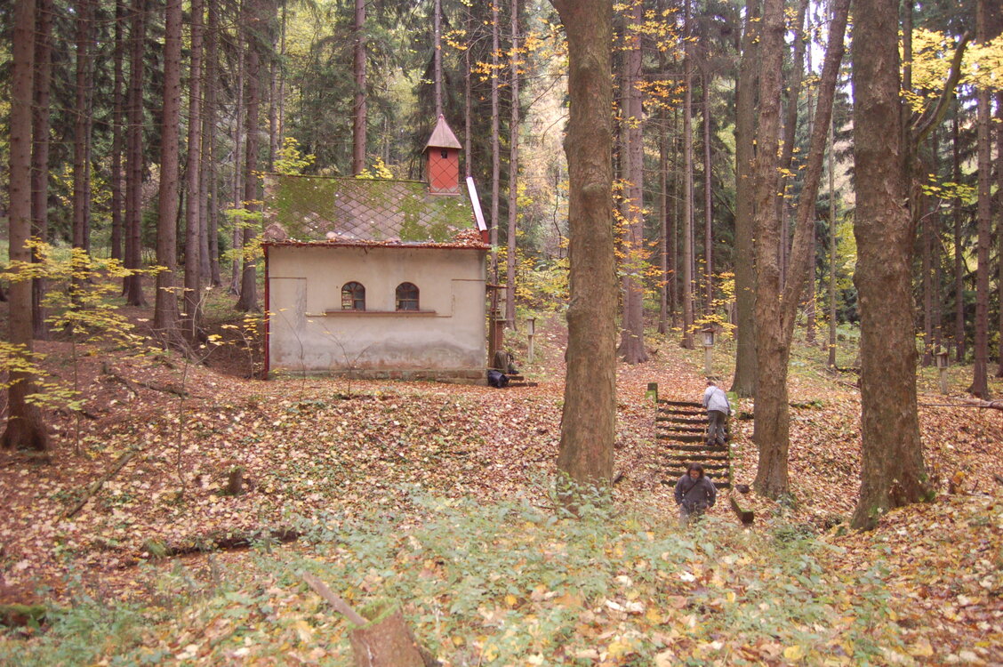 an1_009566.jpg