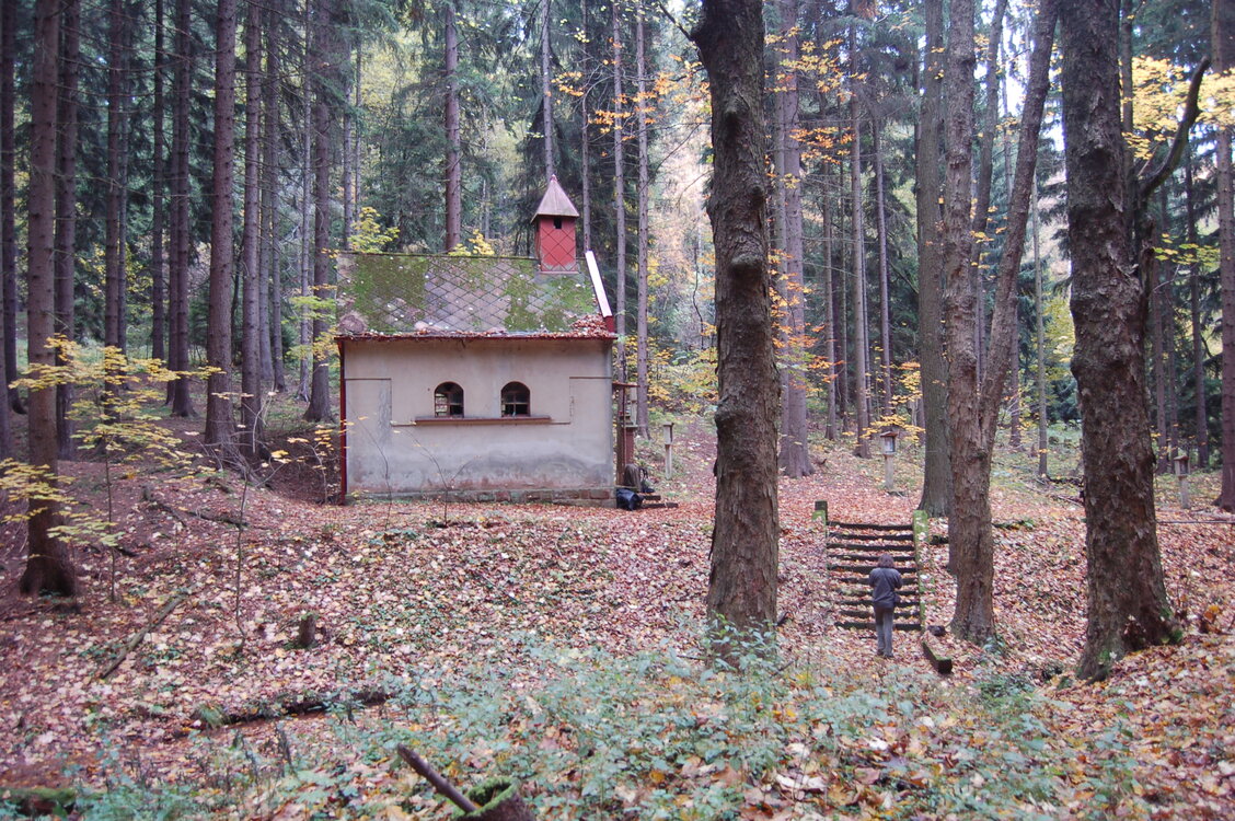an1_009568.jpg