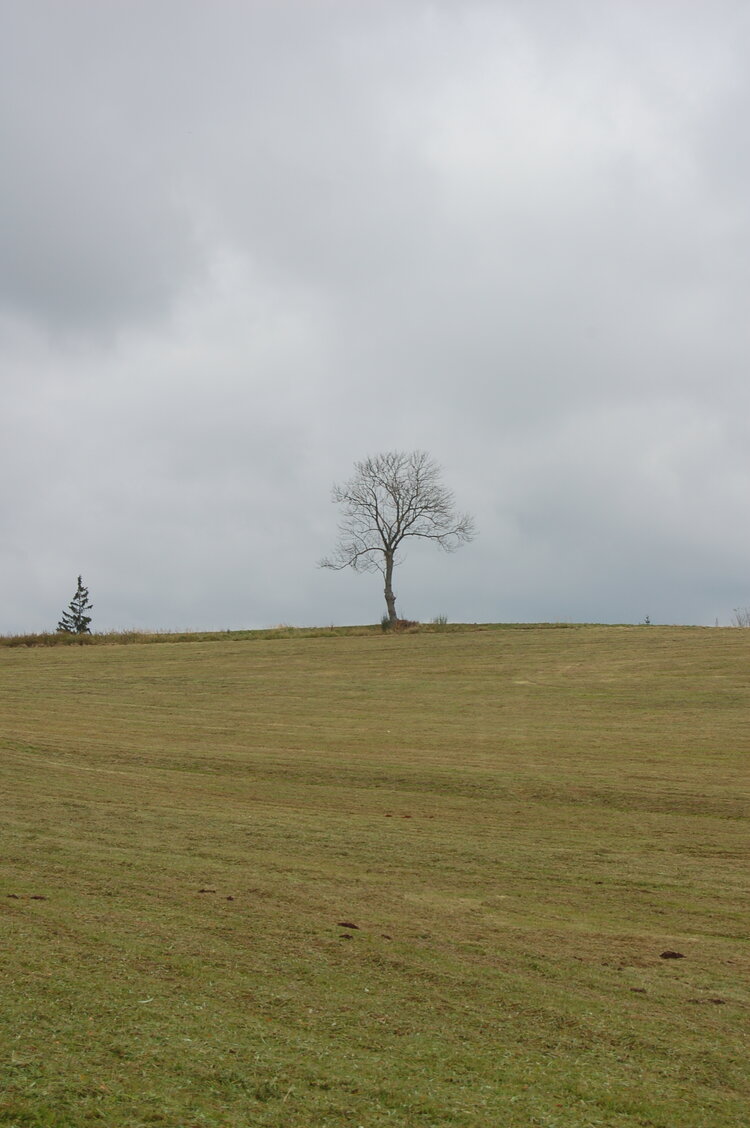 an1_009570.jpg
