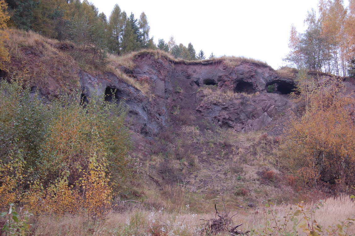 an1_009573.jpg