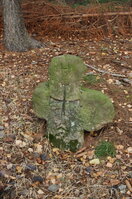 an1_009508.jpg