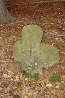 an1_009509.jpg