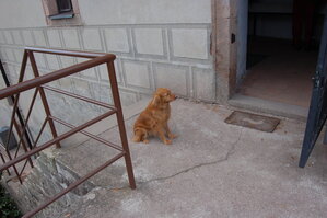 an1_009519.jpg