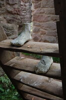 an1_009531.jpg