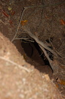 an1_009540.jpg