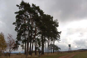 an1_009554.jpg