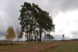 an1_009555.jpg