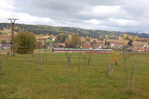 an1_009559.jpg