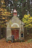 an1_009565.jpg