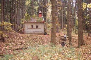 an1_009566.jpg