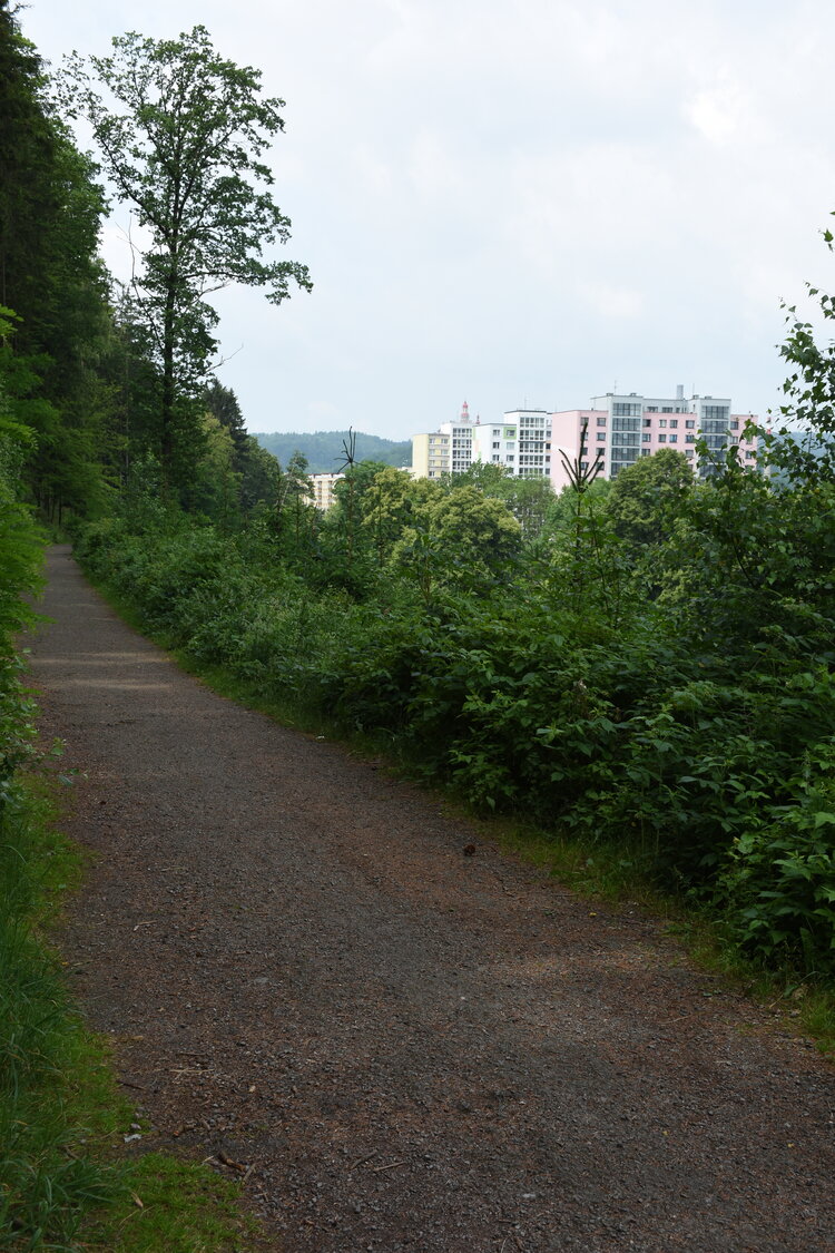 an2_004800.jpg