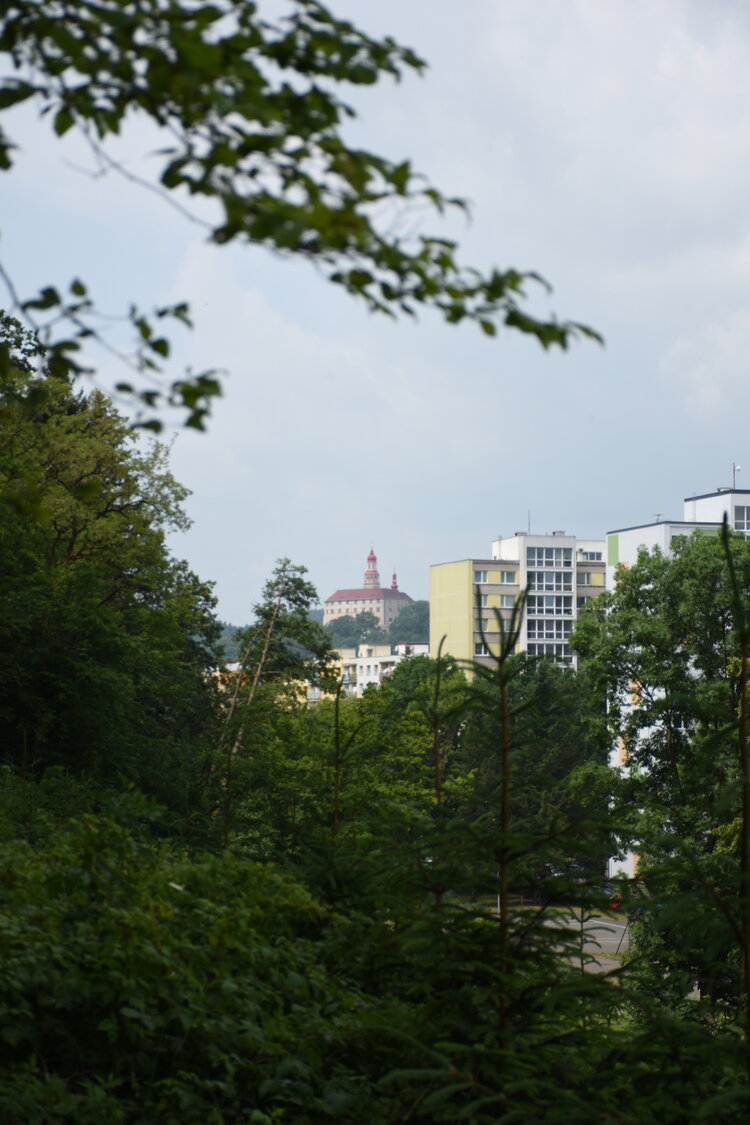 an2_004801.jpg