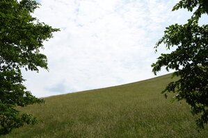 an2_004798.jpg