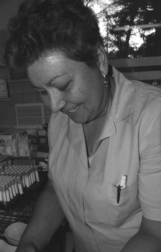 Sestřička Zajíčková