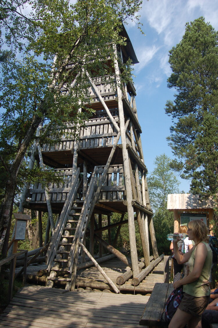 Vyhlídková věž