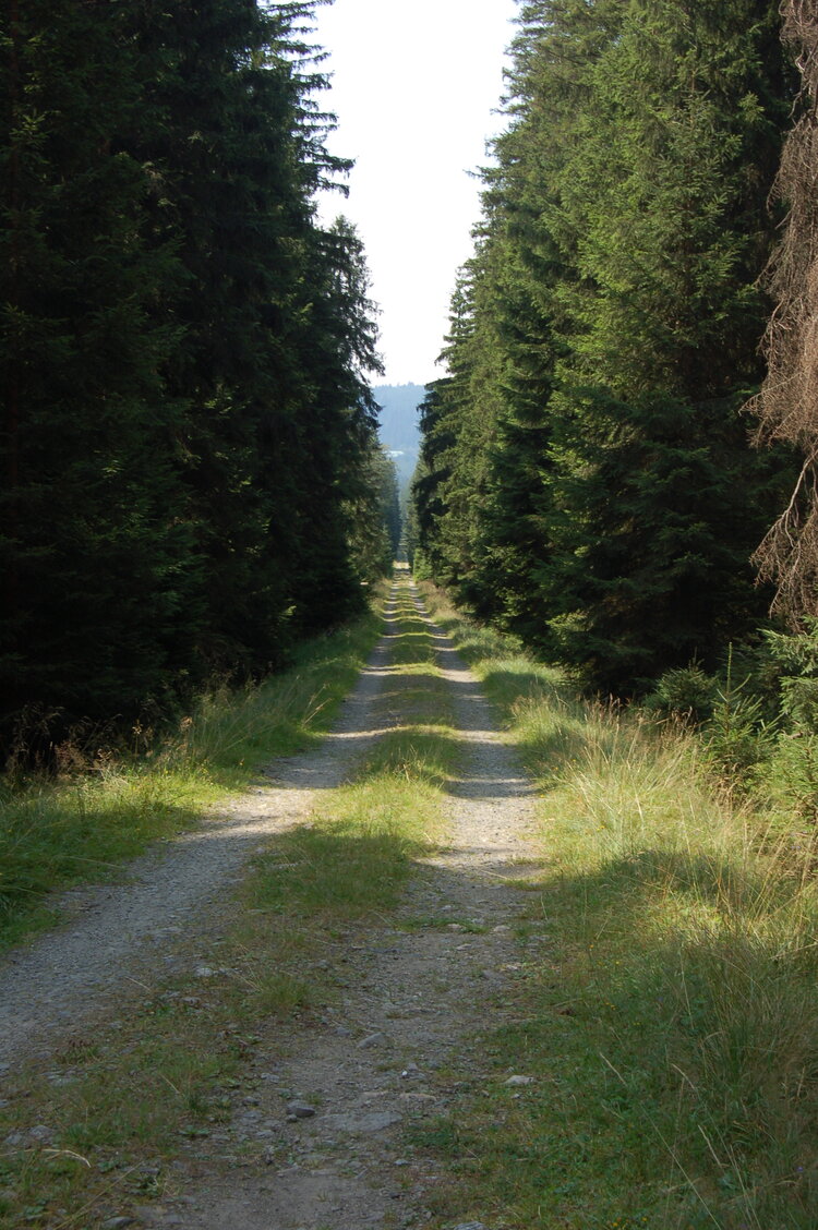 an1_043487.jpg
