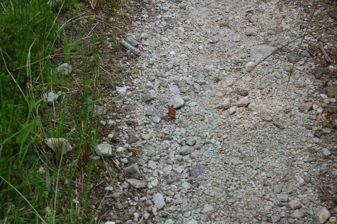 an1_043491.jpg