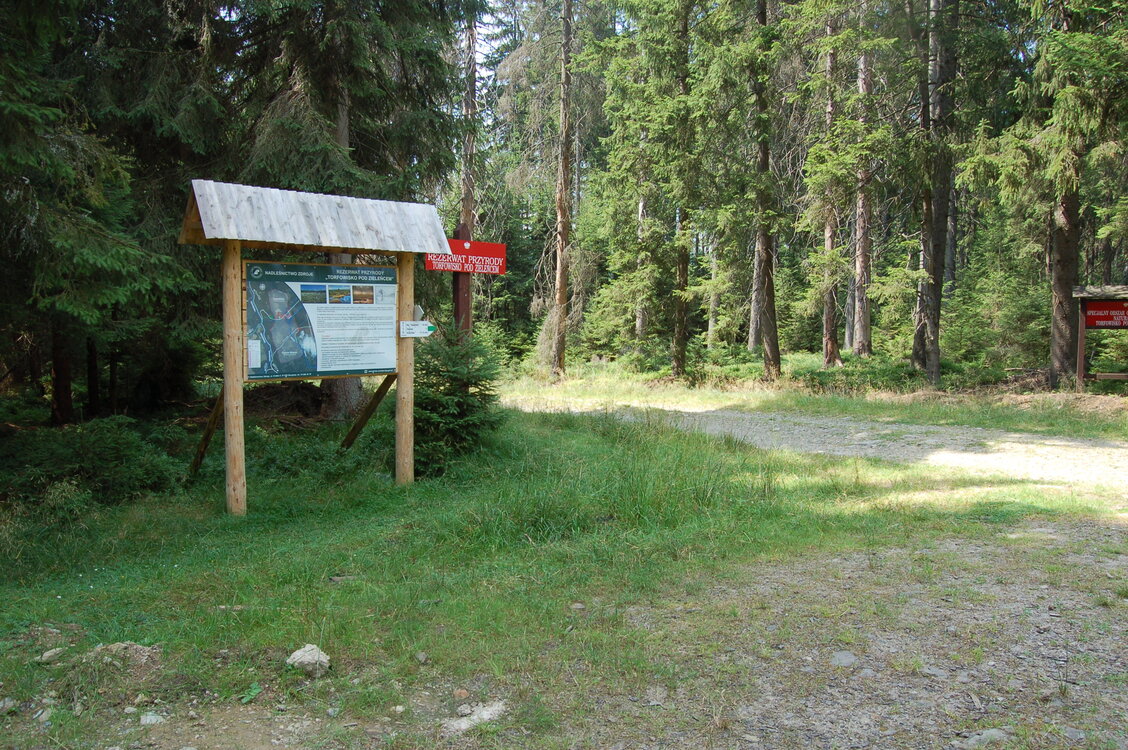 an1_043496.jpg