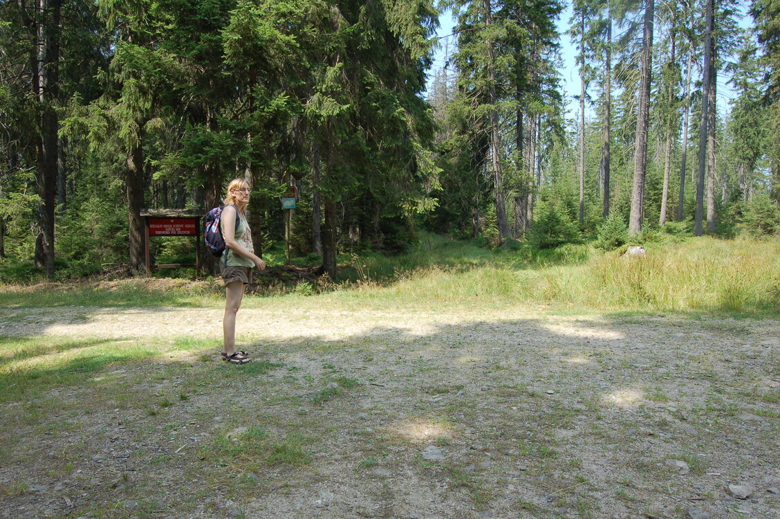 an1_043497.jpg