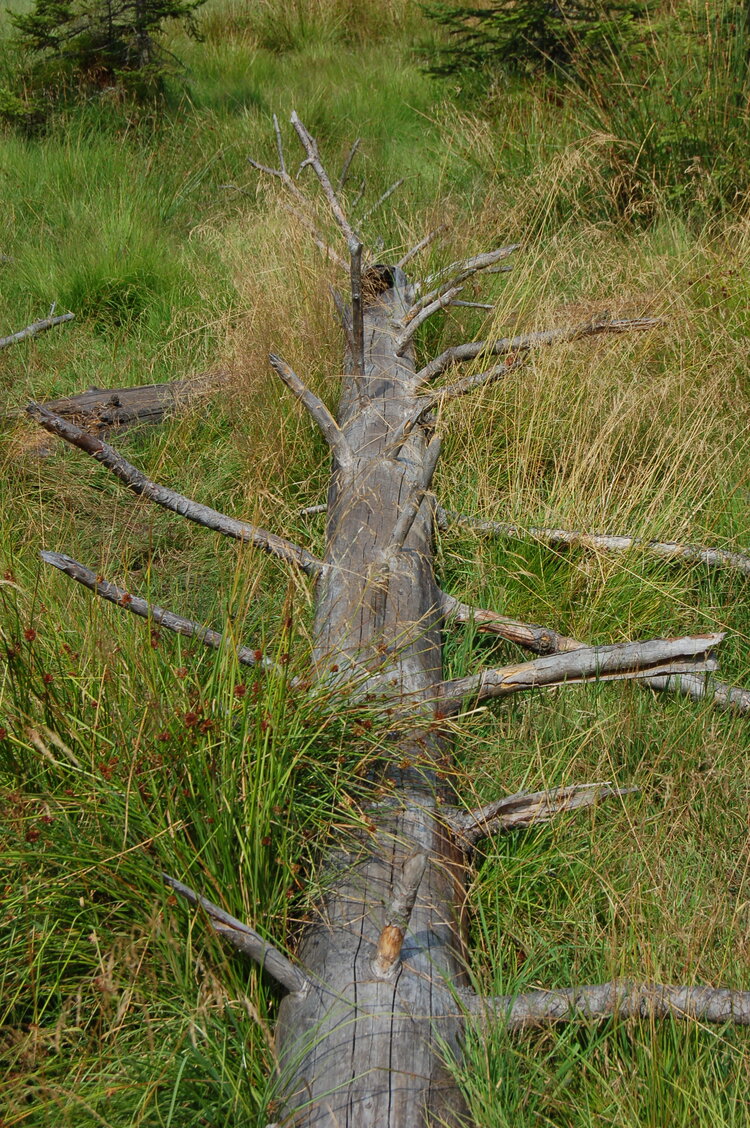 an1_043503.jpg