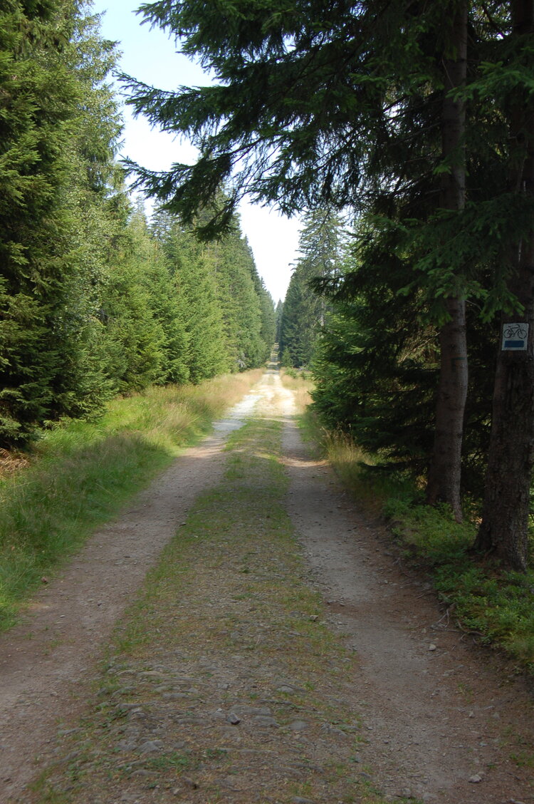 an1_043505.jpg