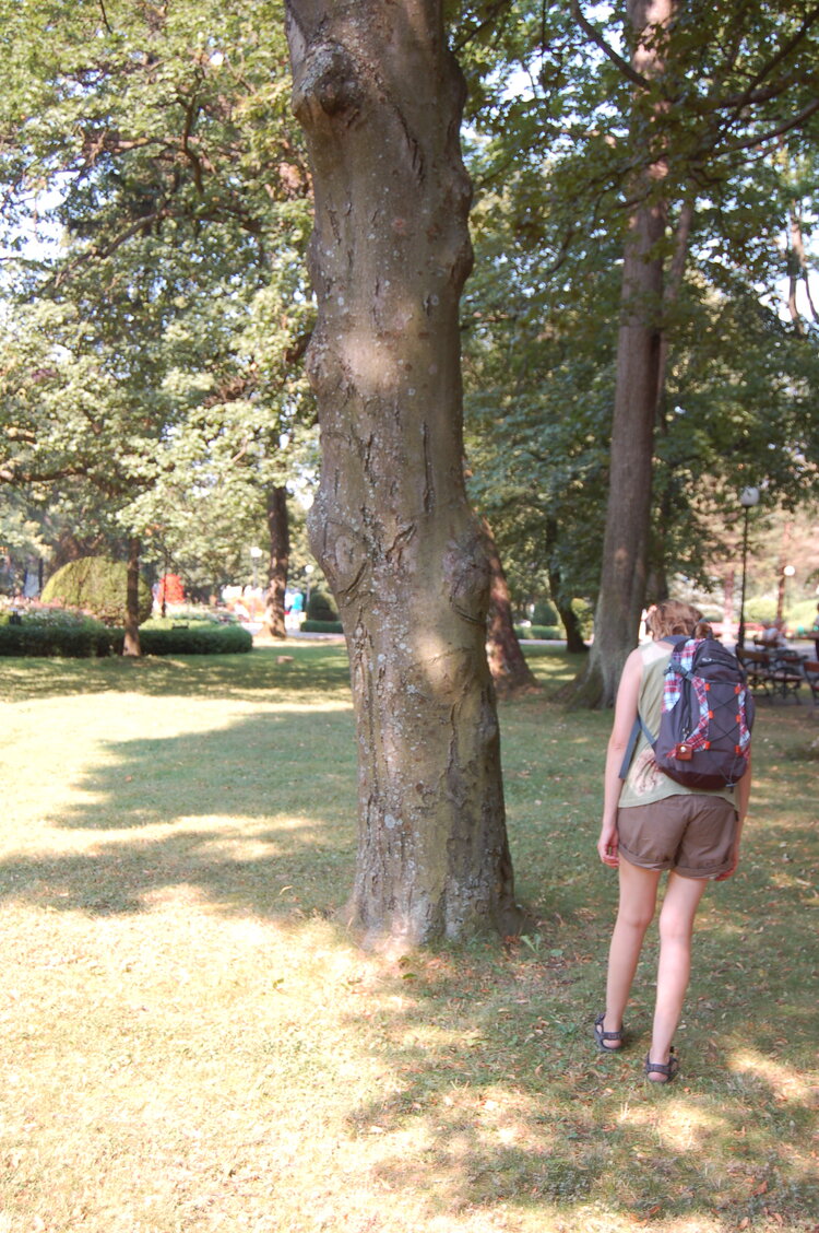 an1_043512.jpg