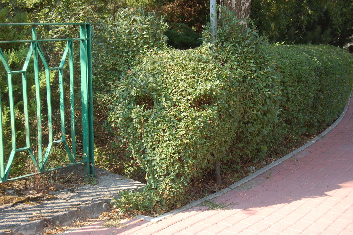 an1_043514.jpg