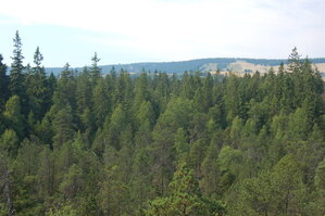 an1_043461.jpg