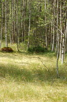 an1_043472.jpg