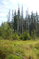an1_043482.jpg