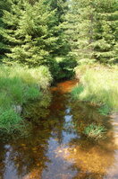 an1_043490.jpg