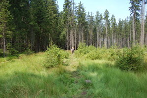 an1_043500.jpg