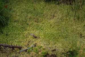 an1_043501.jpg