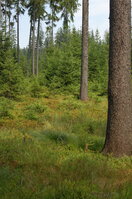 an1_043504.jpg