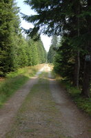 an1_043505.jpg
