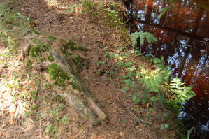 an1_043506.jpg