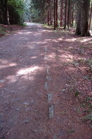 an1_043507.jpg