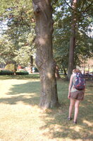 an1_043512.jpg