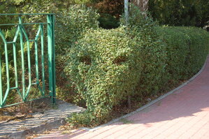 an1_043514.jpg