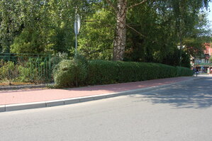 an1_043515.jpg