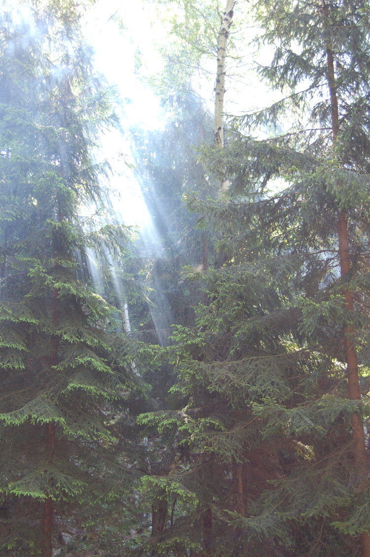 an1_004396.jpg