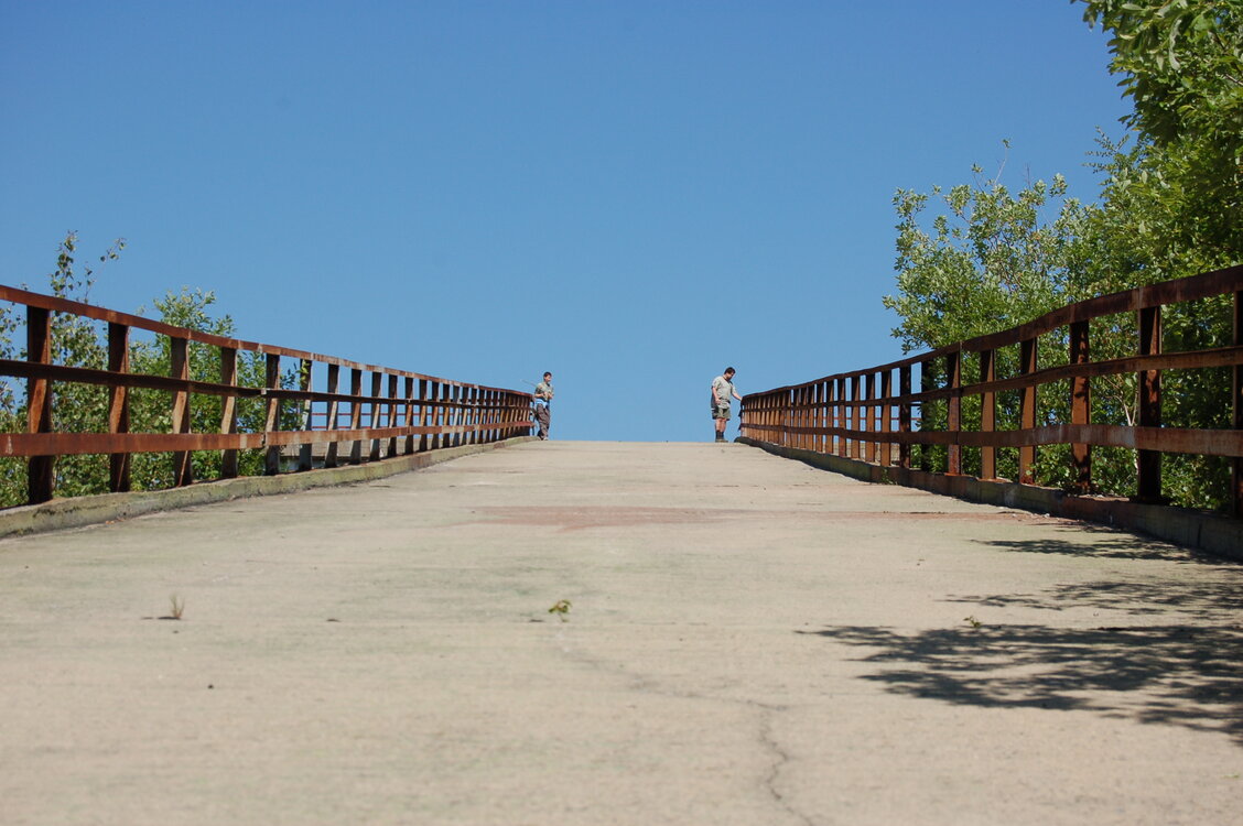 an1_004421.jpg