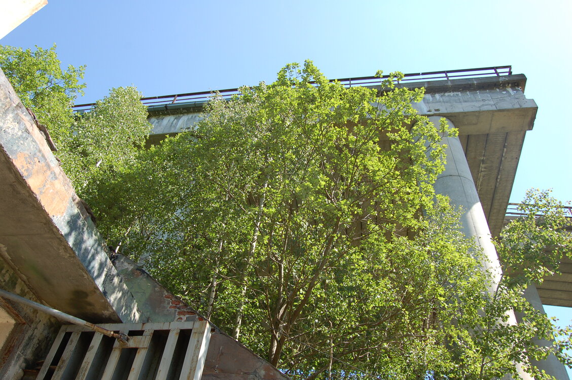 an1_004447.jpg