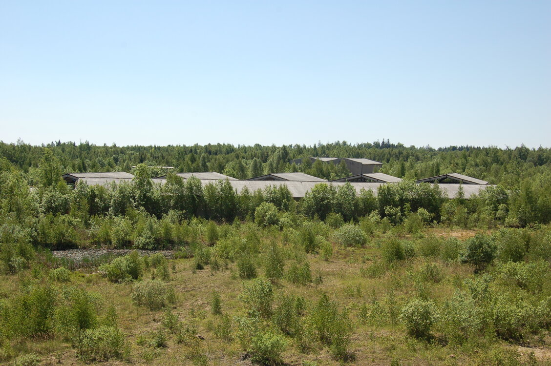 an1_004463.jpg