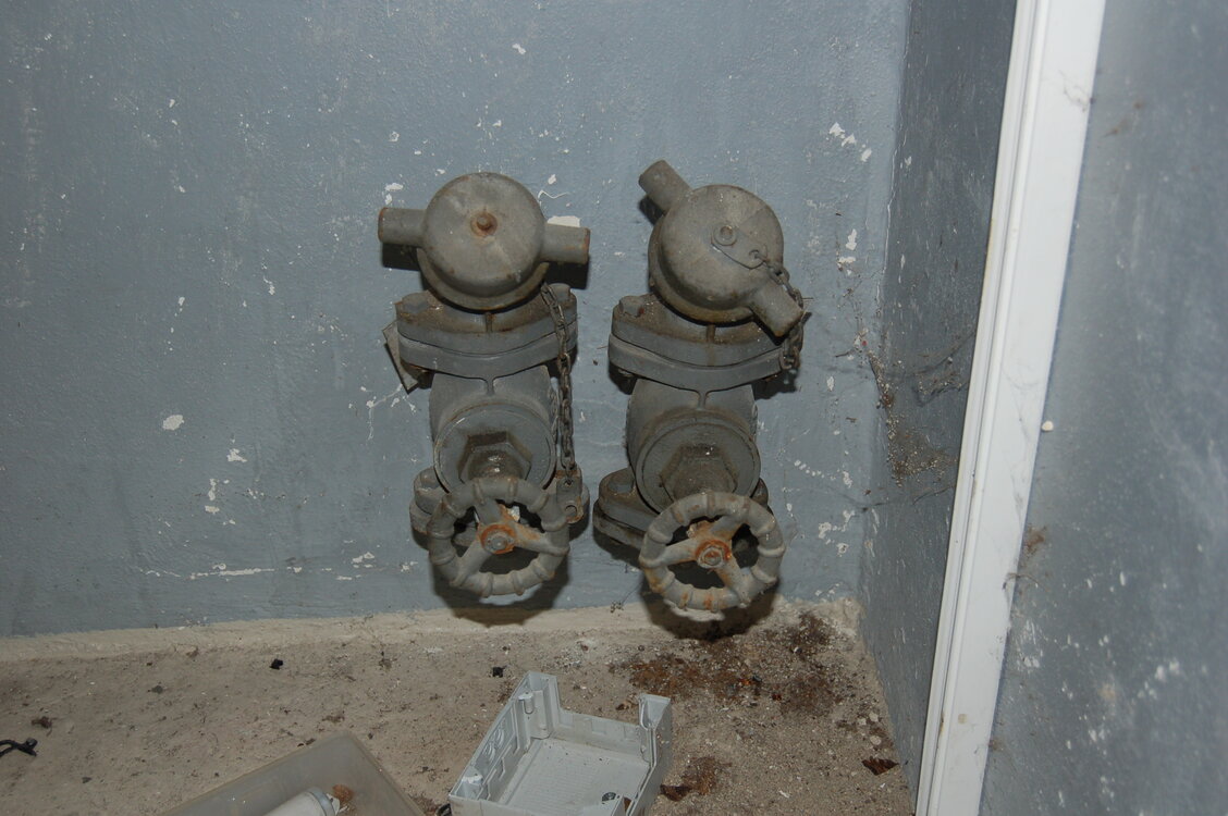 an1_004481.jpg