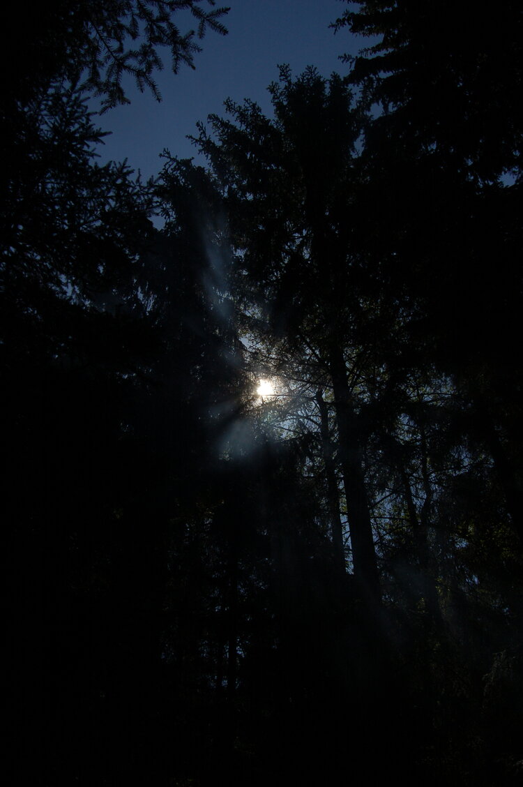 an1_004550.jpg