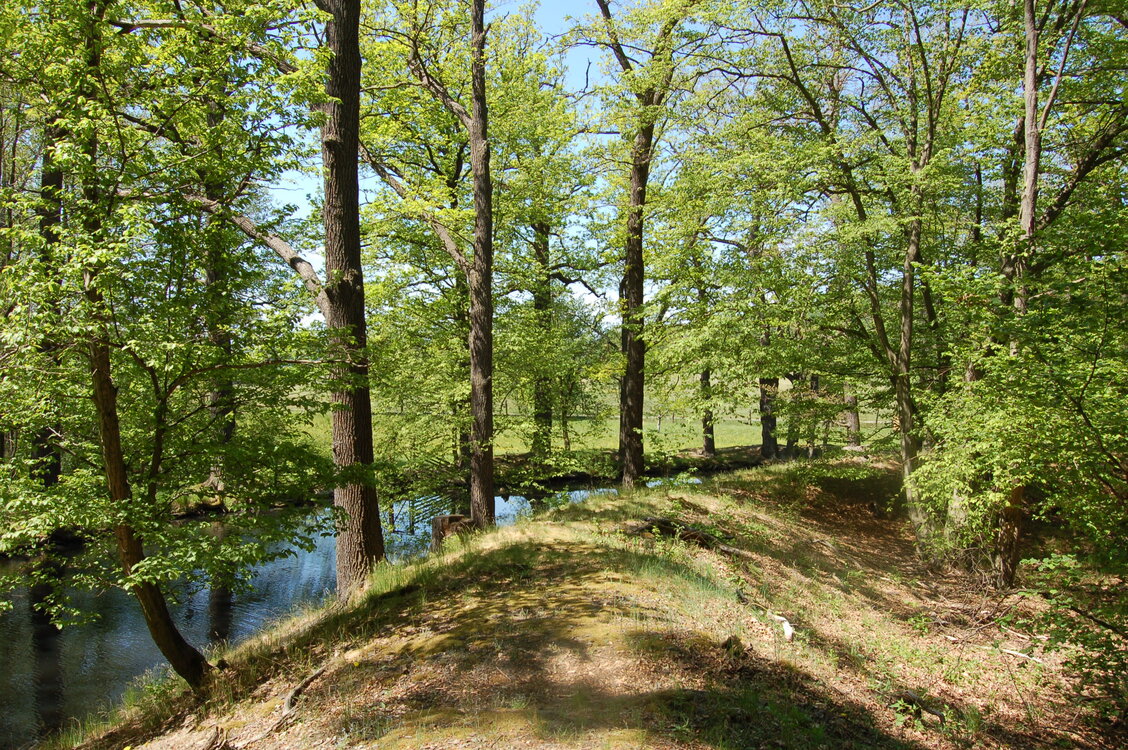 an1_004555.jpg